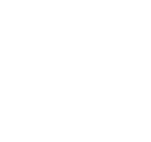 Autism Institute